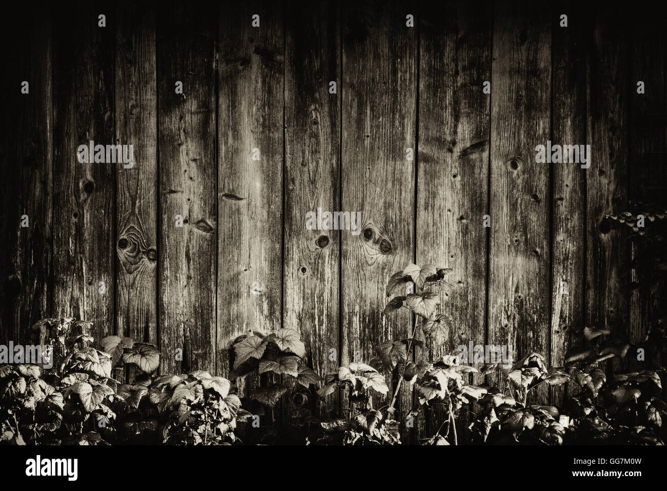 Stück der Holzwand auf dem Hof als ein natürliches Sepia backround Stockfoto