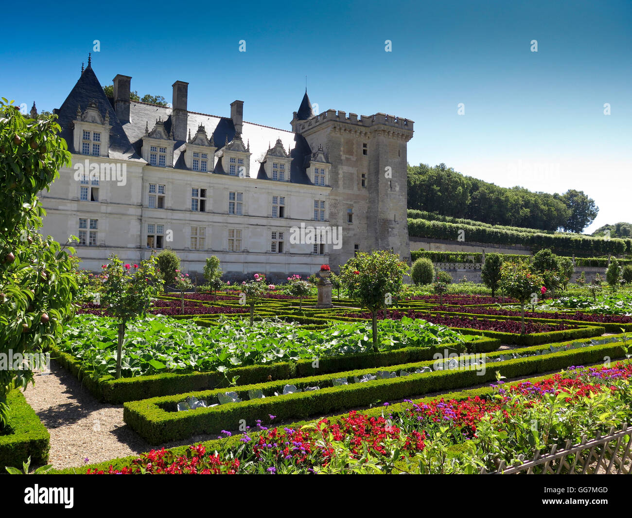 Château de Villandry Loiretal Frankreich Stockfoto