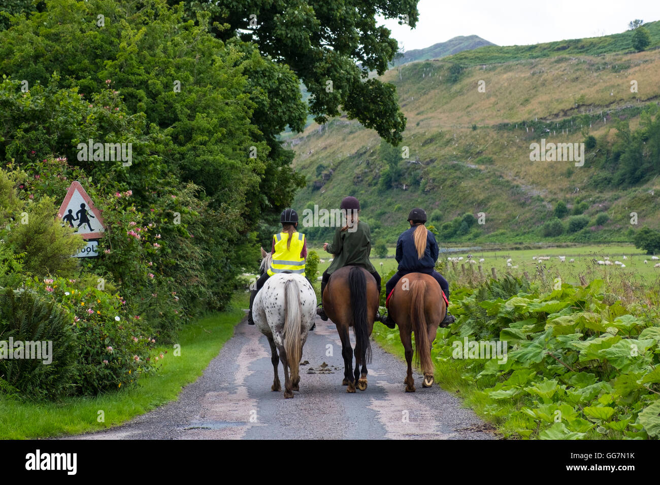 Drei weibliche Reiter Reitpferde auf Spur in der Mitte von Argyll und Bute InScotland Vereinigtes Königreich Stockfoto