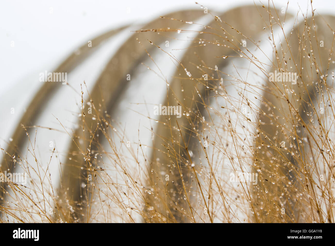 Verschneite Landschaft Detail Kauffman Center for the Performing Arts Stockfoto