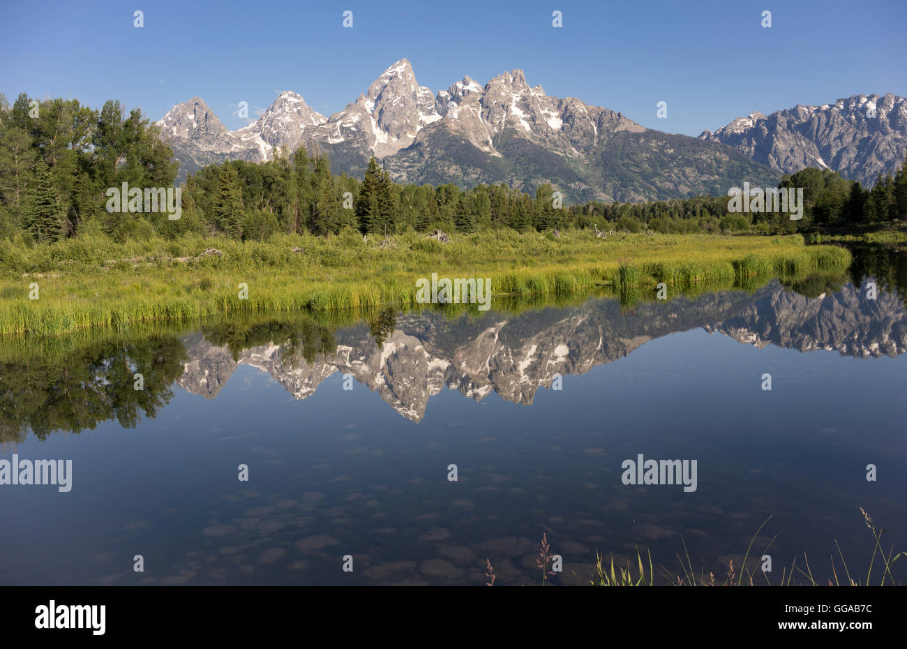 Bergen reflektiert glatte See Grand Teton Nationalpark Stockfoto