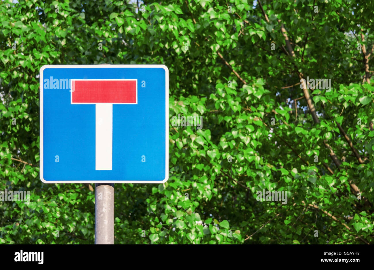 Sackgasse Verkehrszeichen in grünen Hintergrund Stockfotografie - Alamy