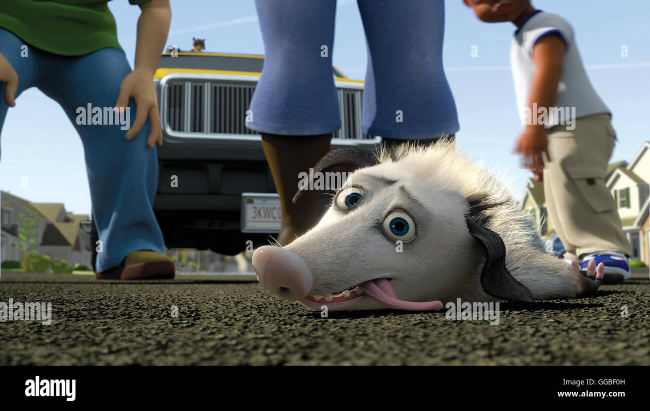 AB DURCH sterben HECKE / ab durch die Hecke USA 2006 / Tim Johnson, Kary KirACKtrick Ozzie Possum-Regie: Tim Johnson, Kary Kirkpatrick aka. Ab durch die Hecke Stockfoto