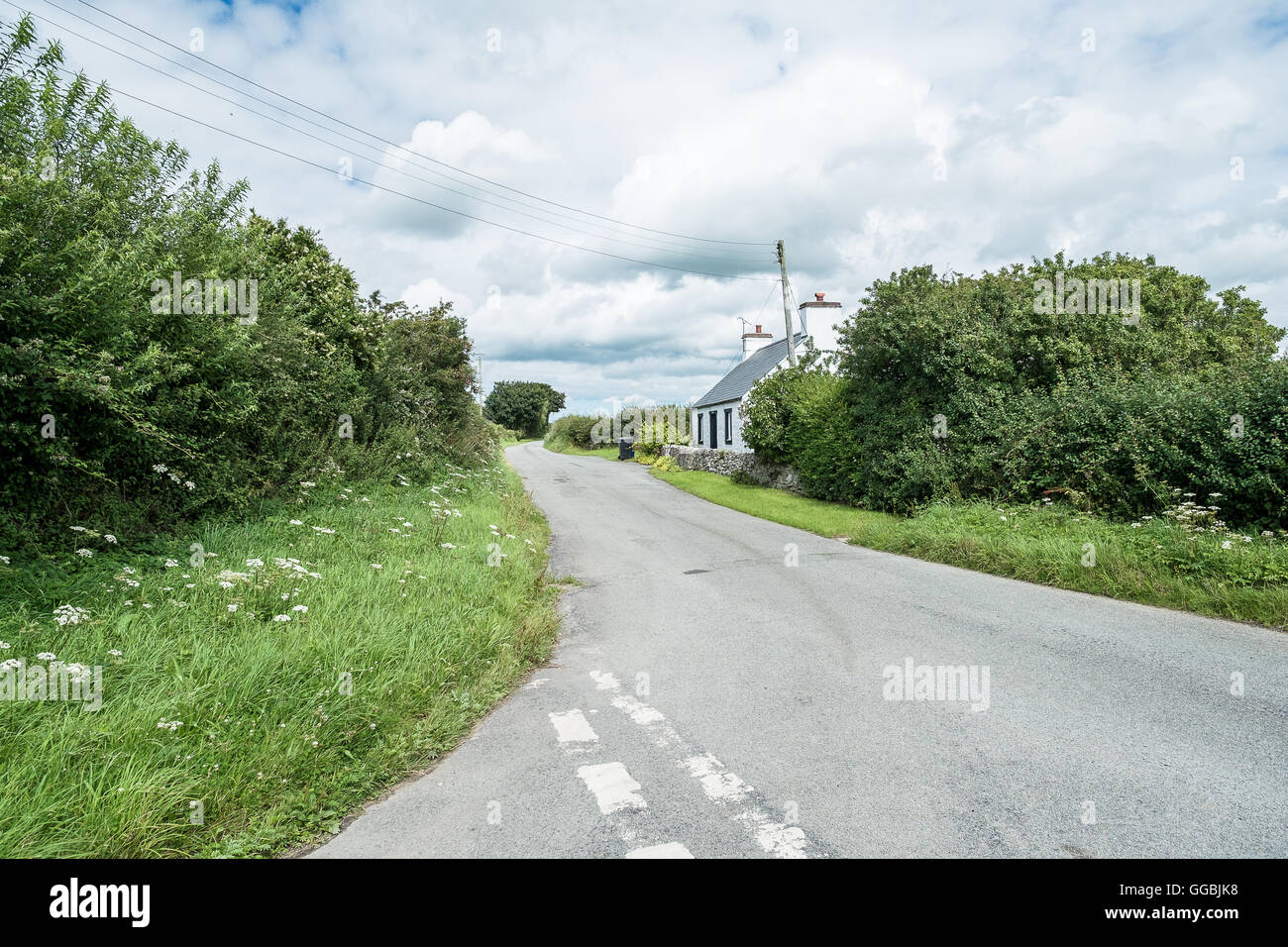 Landstraßen durch Anglesey an einem sonnigen Tag von Fahrrad, North Wales, UK Stockfoto