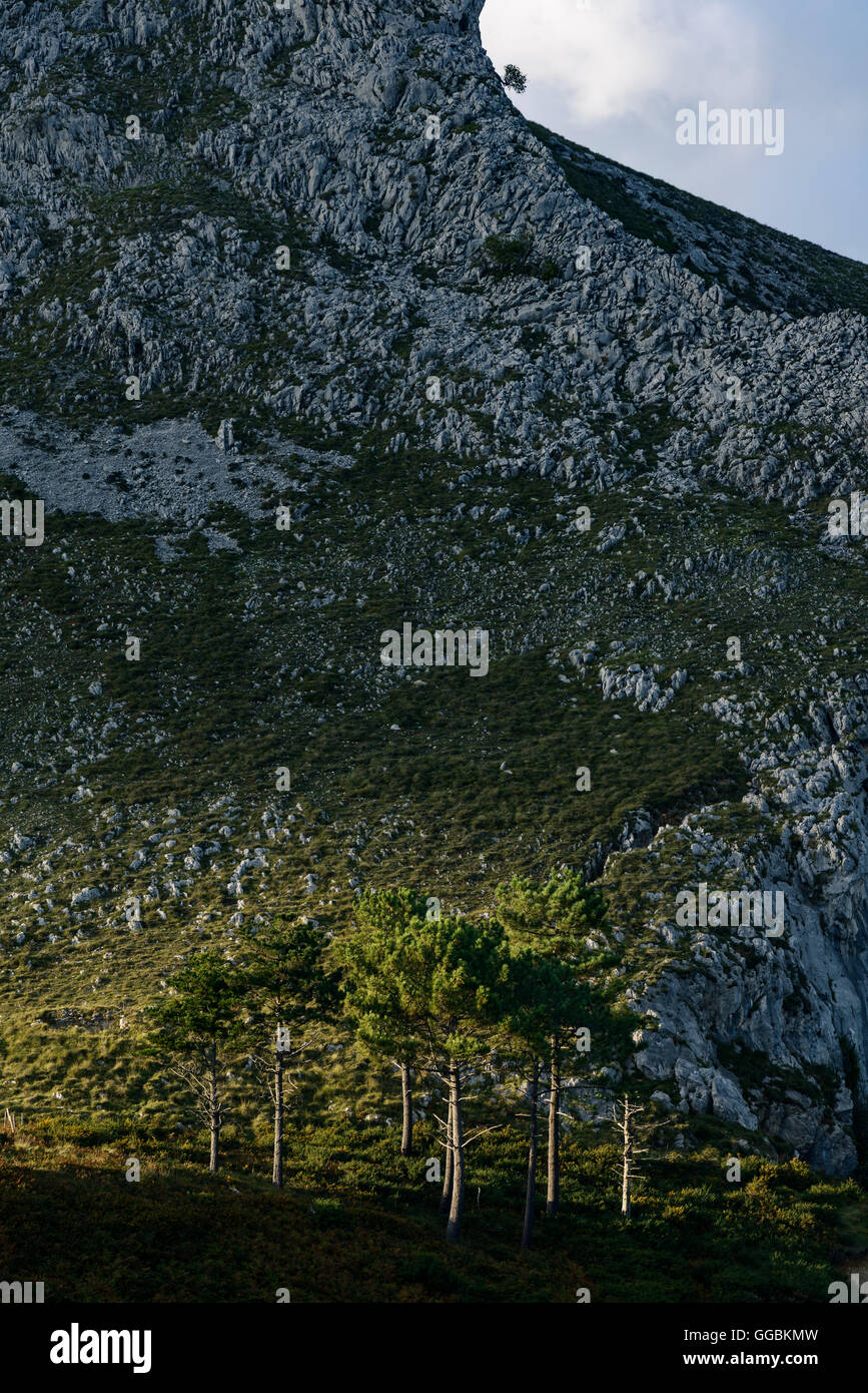 Panoramablick über den Strand San Julian, Liendo, Kantabrien, Spanien, Europa Stockfoto