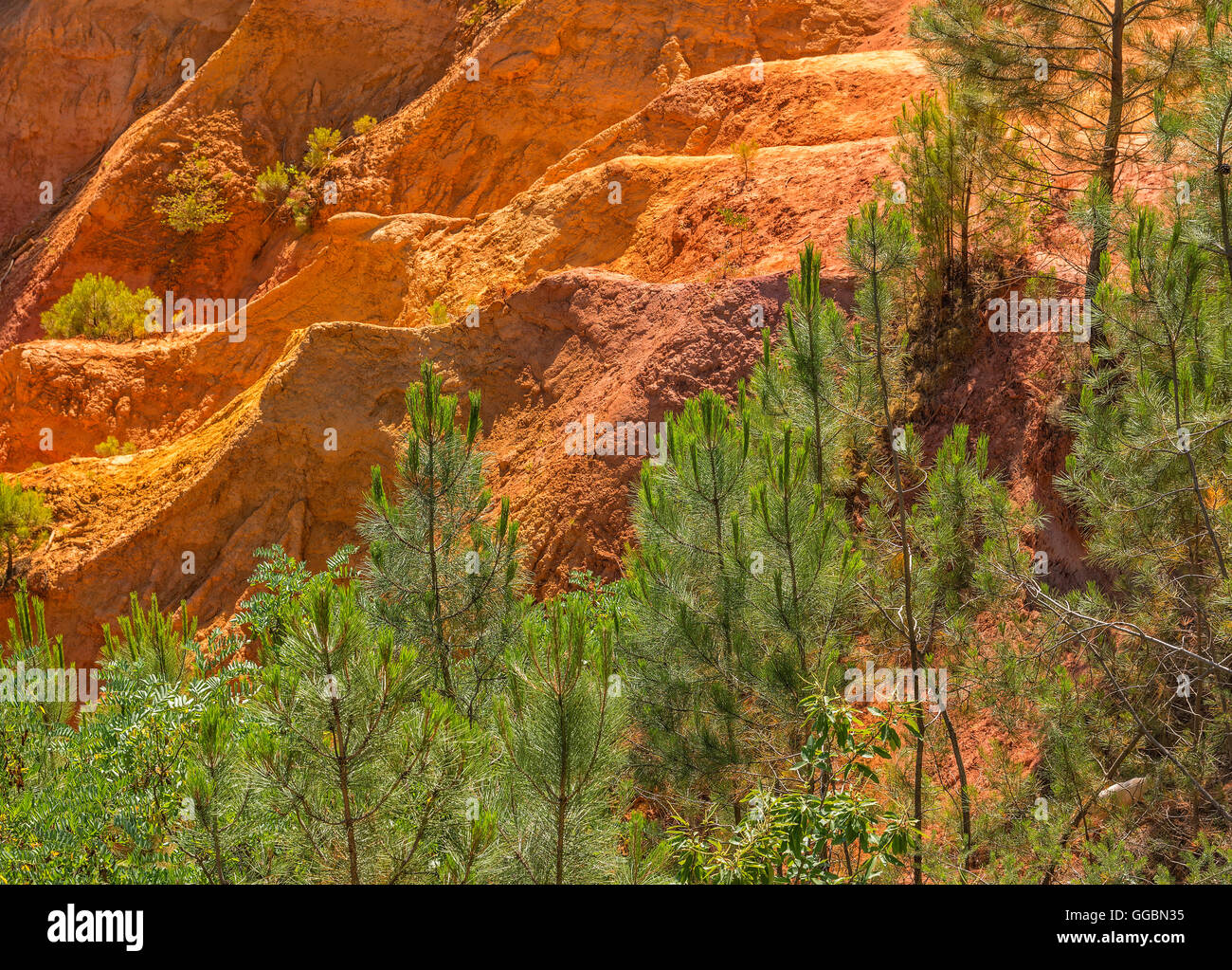 Ocker Steinbruch in der Nähe von Roussillon Dorf in der Provence, Frankreich Stockfoto