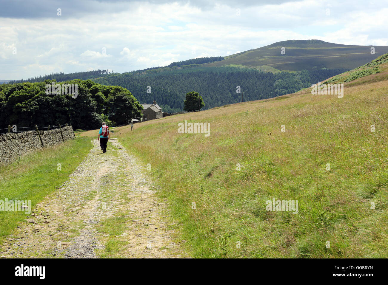 Weibliche Wanderer zu Fuß entlang des Pfads Runde Crook HIll, die gesehen werden kann, steigt auf der rechten Seite in den Peak District, England, UK Stockfoto
