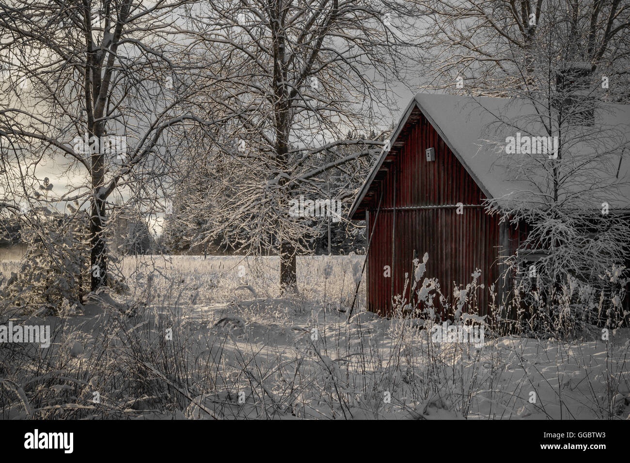 rote Scheune im Schnee Stockfoto