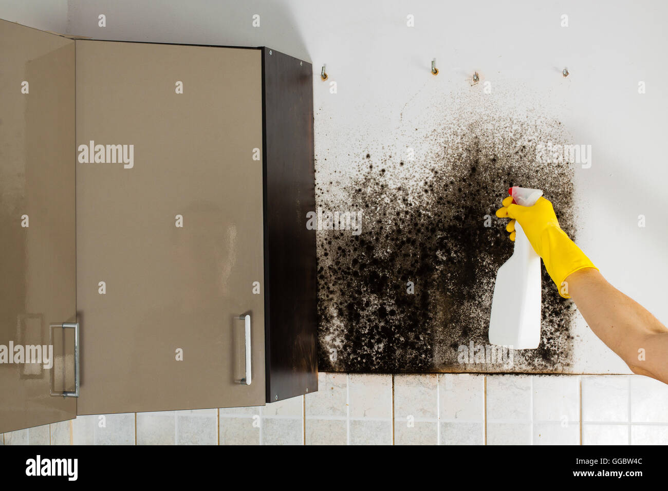 Küche-Kabinette Schimmel entfernen, hand Waschmaschine im Vordergrund. Stockfoto