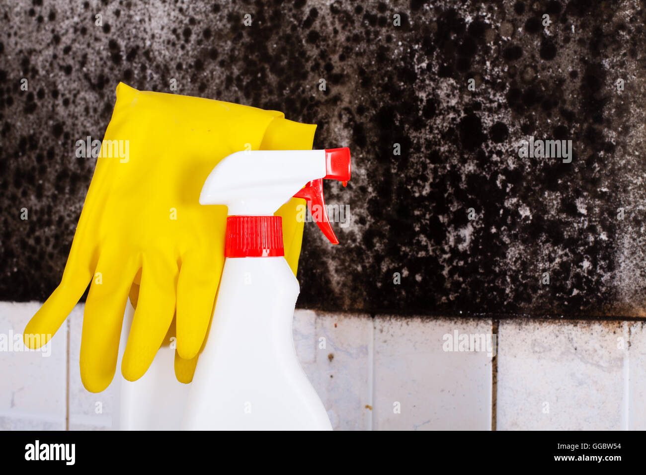 Vorbereitung zur Entfernung von Schimmel und gelb Handschuhe gegen den Schimmel an der Wand. Stockfoto