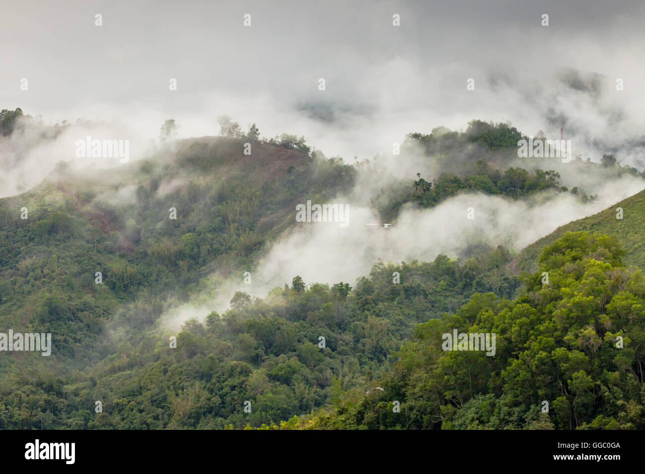 Hochland in ländlicher Umgebung im Norden von Sabah, Malaysia Borneo, Regenwald und misty Cloud Stockfoto