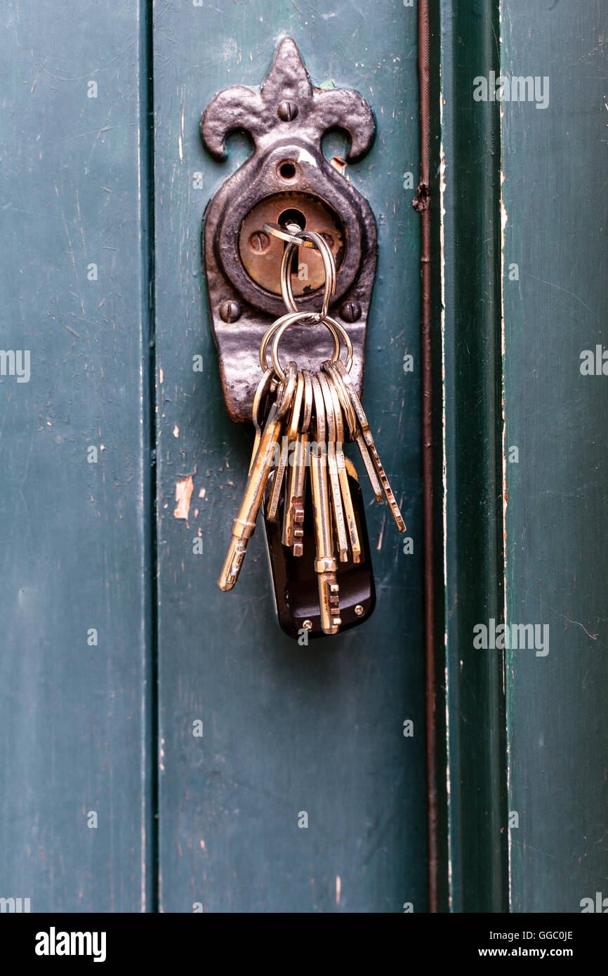 Schlüsselbund in auf alte Tür. Fleur de Lis Symbol. Irland Stockfoto
