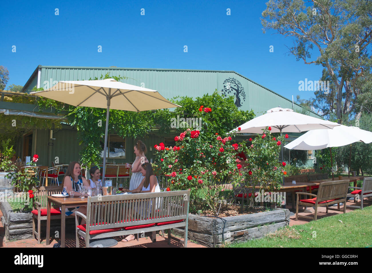 Vier Mädchen genießen Wein Weinprobe di Lusso Weingut Mudgee NSW Australia Stockfoto