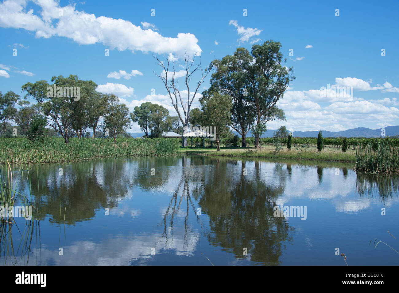 See und Weinberg di Lusso Wine Estate Mudgee NSW Australia Stockfoto