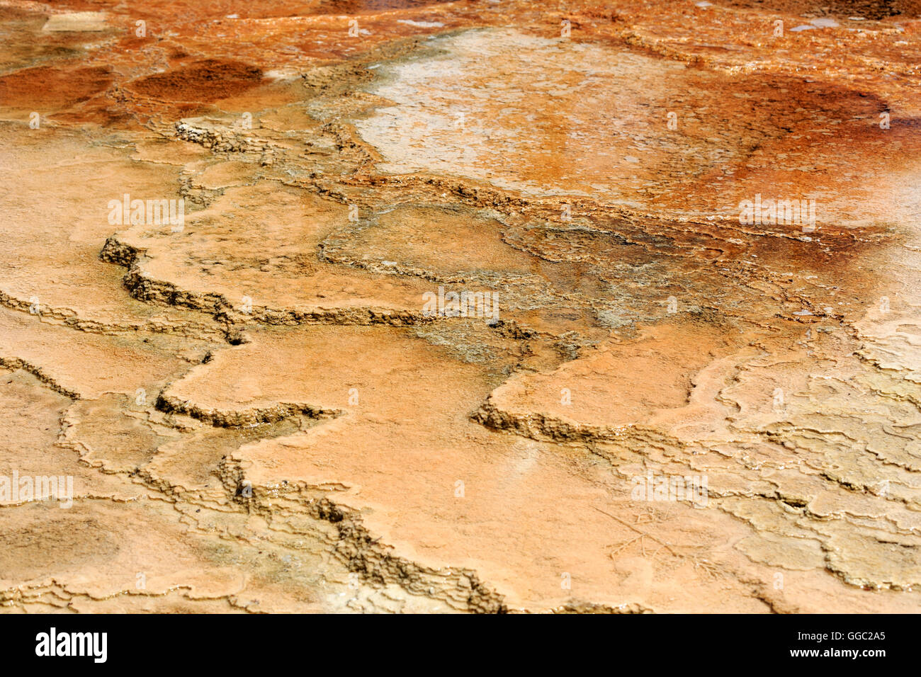 Mammoth Hot Springs, oberen Terrassen, Yellowstone-Nationalpark Stockfoto