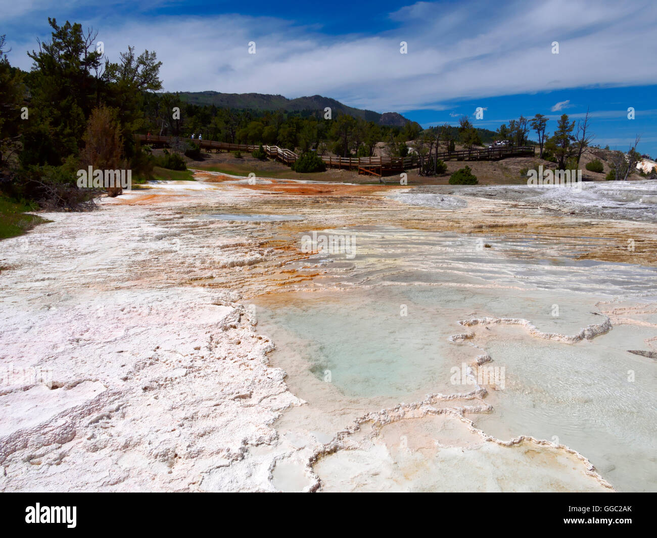 Mammoth Hot Springs, oberen Terrassen, Yellowstone-Nationalpark Stockfoto