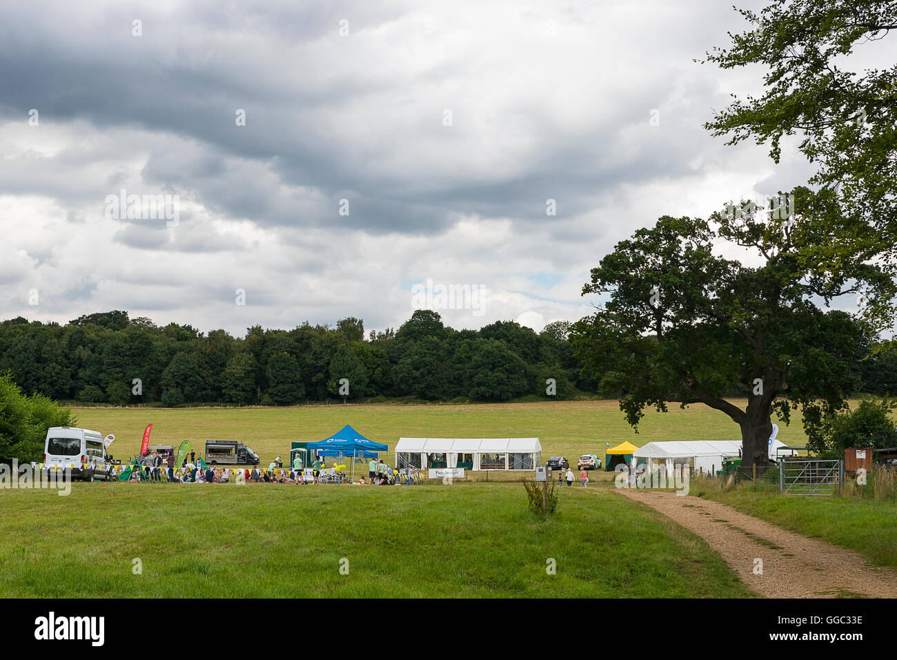 Hertfordshire Wildlife Trust Wildlife Festival, Welwyn, UK Taken bei einer Veranstaltung von der Nächstenliebe zur Erhaltung Präsentation arbeiten Stockfoto