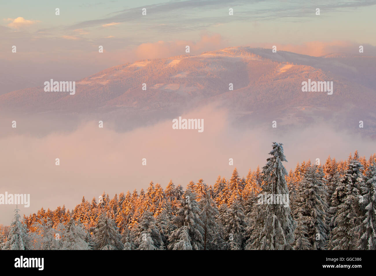 Schönen Winter Sunrise Foto im polnischen Beskiden - Rogacz Hügel. Blick auf Berg Skrzyczne. Stockfoto