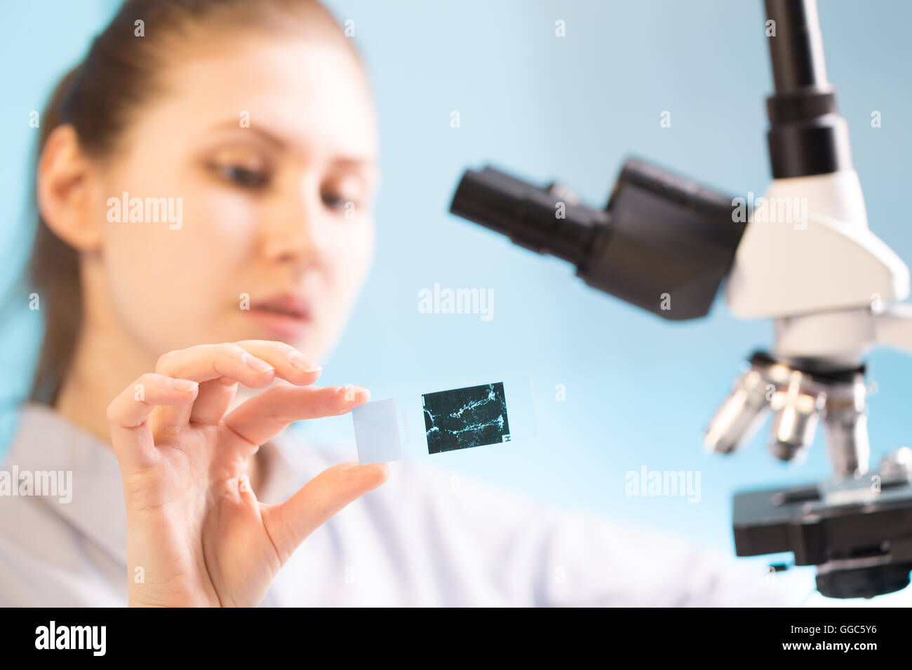 Techniker im Labor mit einer Pipette und Reagenzglas Stockfoto