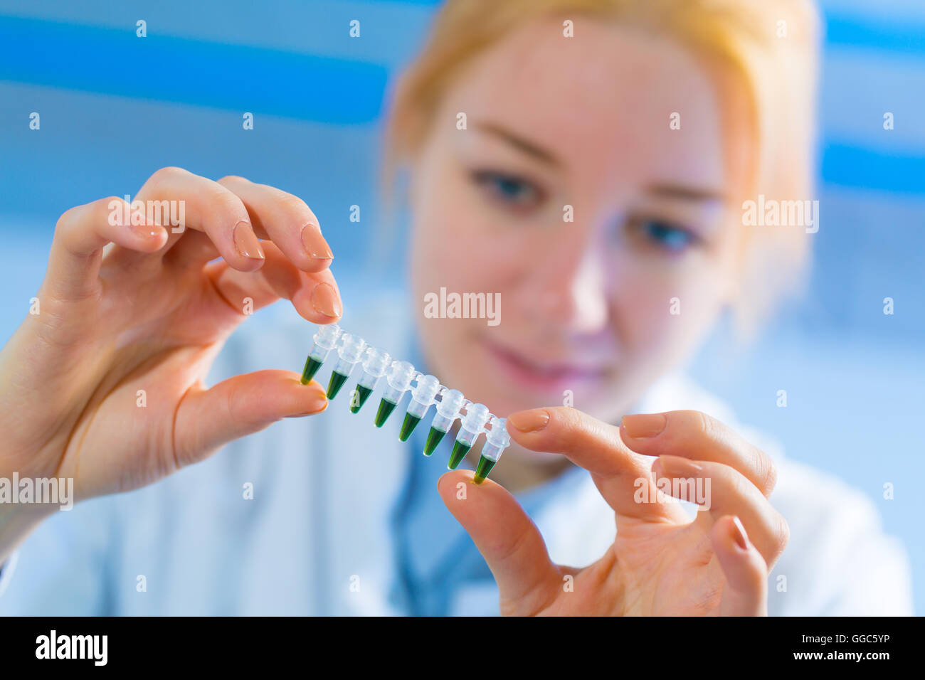 Techniker im Labor mit einer Pipette und Reagenzglas Stockfoto