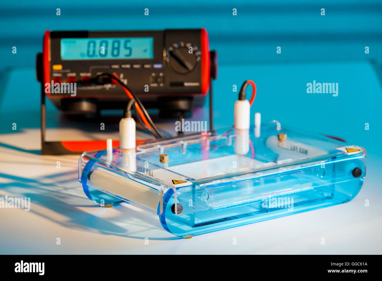 Laden von DNA-Proben auf einem Agarose-Gel für Elektrophorese Stockfoto