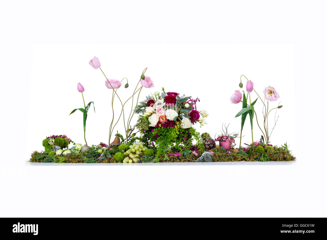 Große Blumen Tabellenanzeige der australischen Blumen, Moos, Farne, Nüssen und Früchten Stockfoto