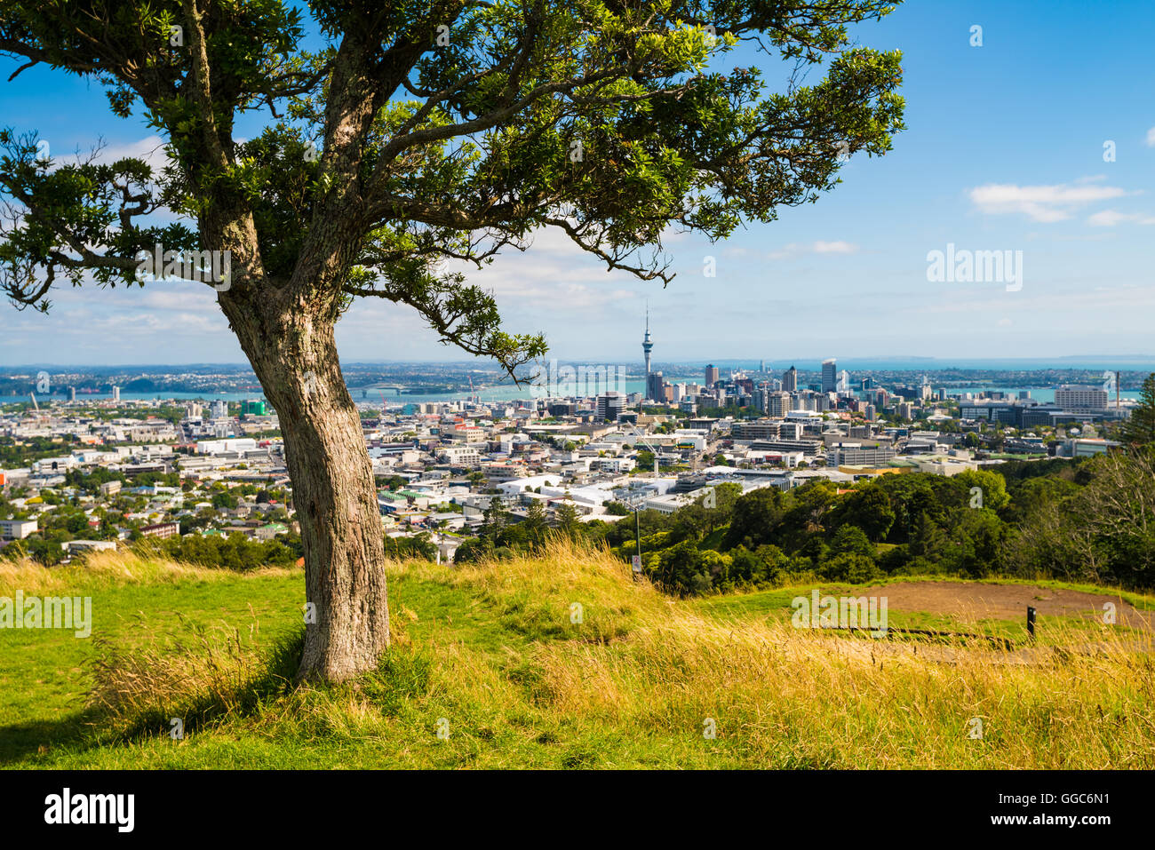Auckland-Panorama Stockfoto