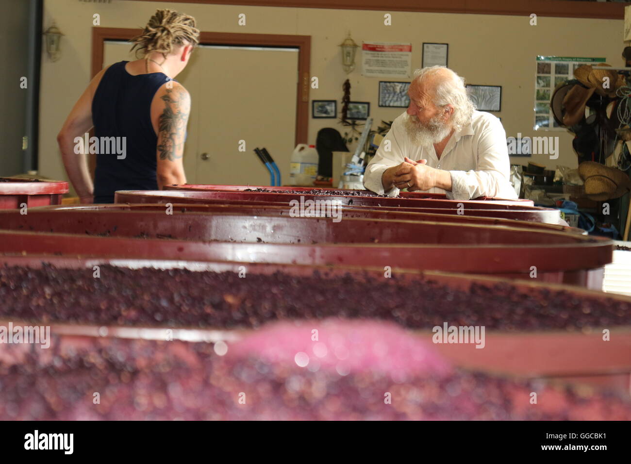 Zwei Männer bei ihrem Weingut beobachten ihre Rotweintrauben gären in Weintanks Stockfoto