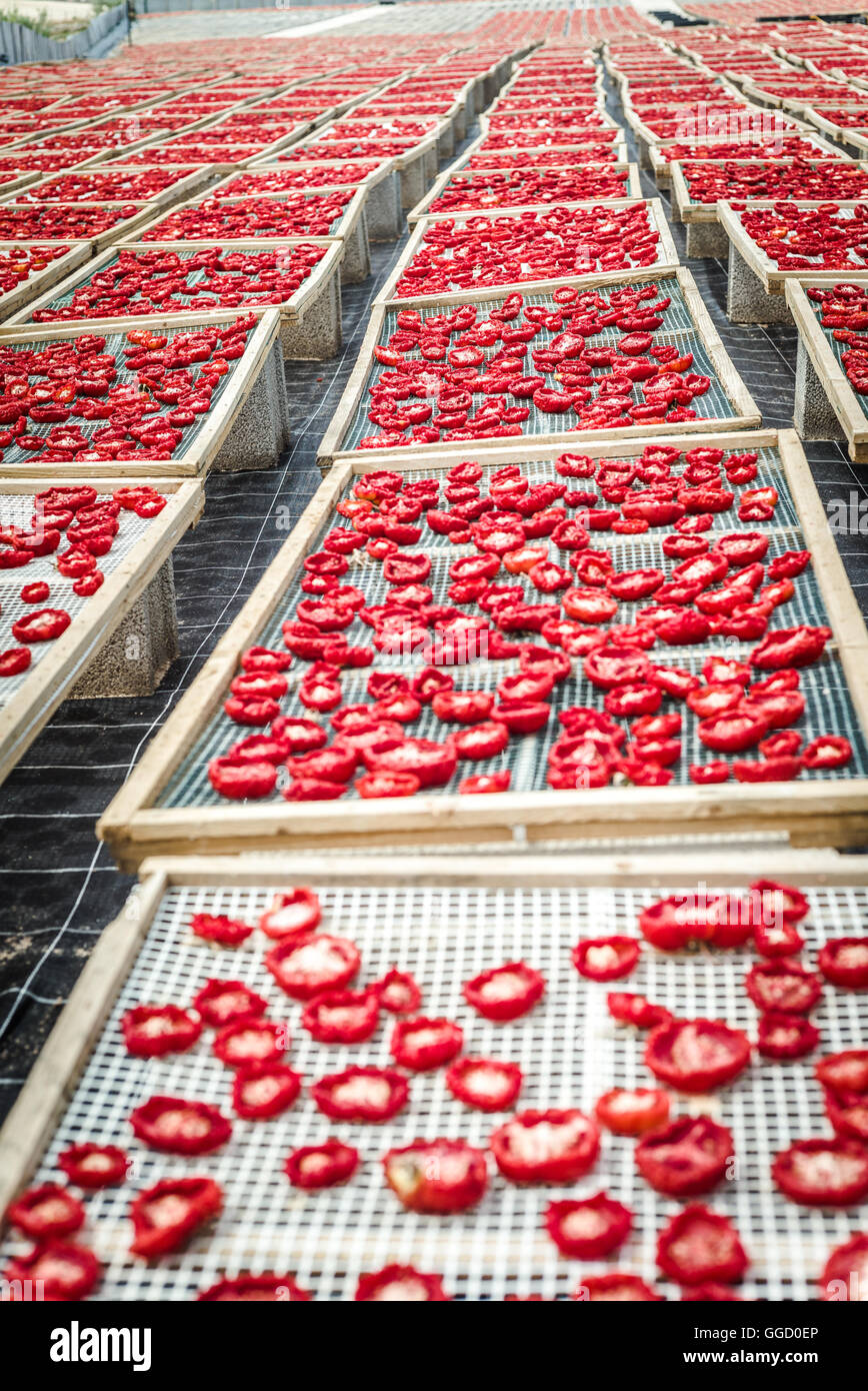 Tomaten Trocknen In Der Sonne Stockfotos und -bilder Kaufen - Alamy