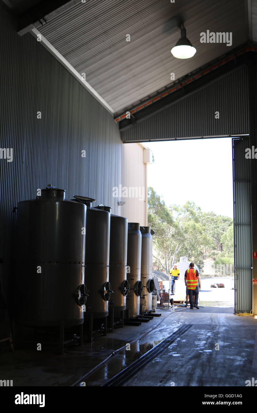 Weintanks und Weinbereitung Arbeiter in der Kellerei in beiden Händen Weine, Australien Stockfoto