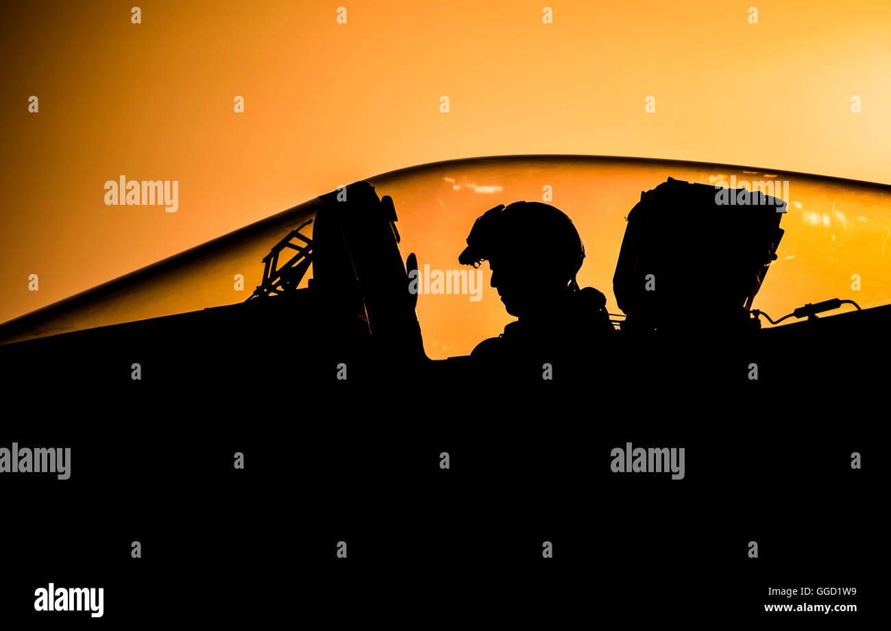 US Navy F/A - 18C Hornet Kampfpilot führt Pre-Flight-Checks vor dem Start aus dem Flugdeck auf dem Flugzeugträger USS Dwight D. Eisenhower während des Betriebs 31. Juli 2016 in das Arabische Meer. Die Flug-Einsätze sind zur Unterstützung der Operation inhärenten lösen gegen islamischen Staat Ziele im Irak und in Syrien. Stockfoto