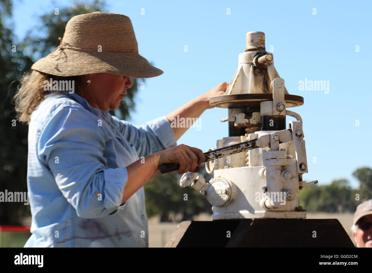 Winzer sue Glocke pressen Trauben mit einer Traube Hydraulikpresse während der Erntezeit bei Leithammel Wines, Coonawarra, Australien Stockfoto