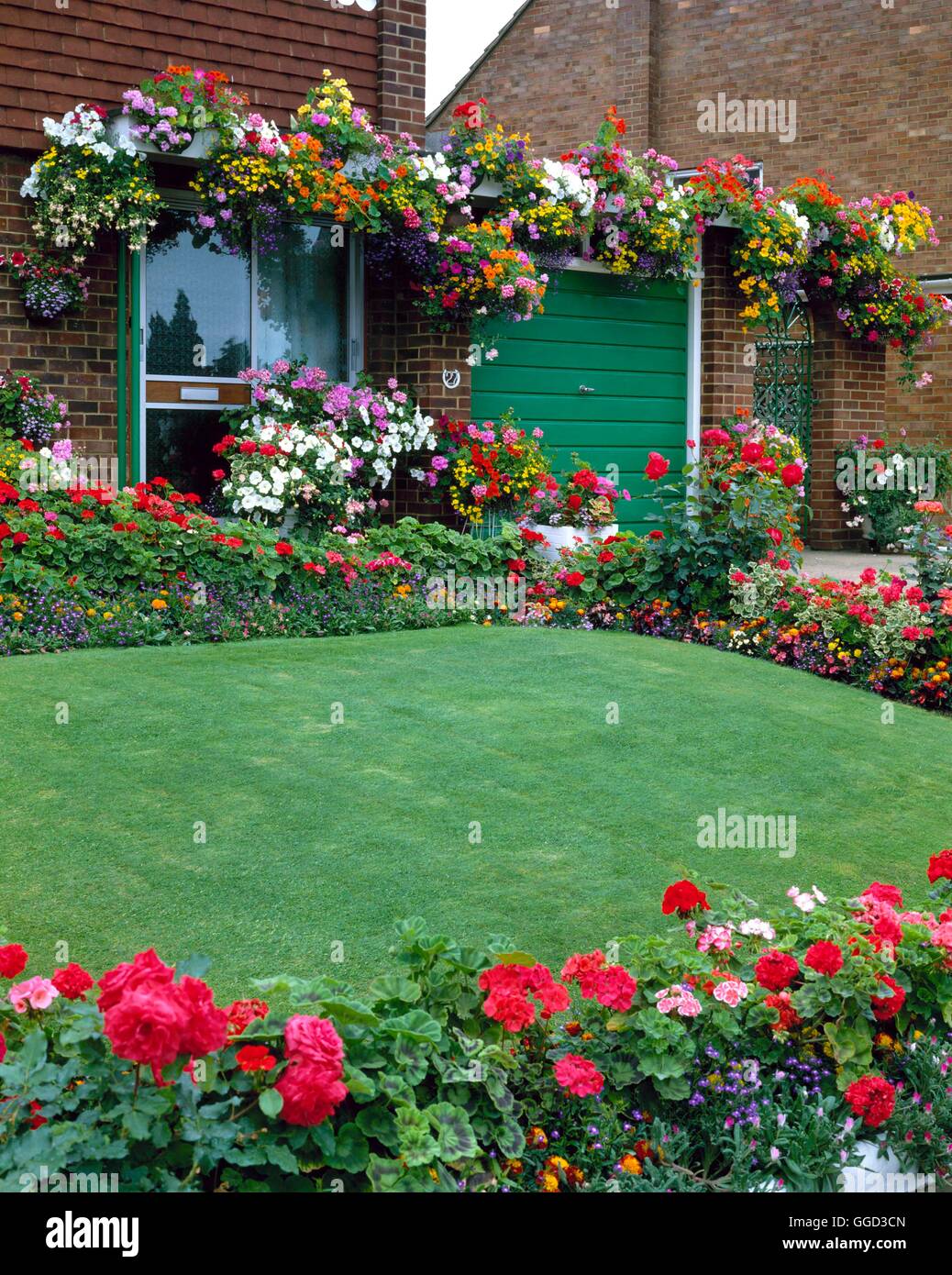 Jährlichen Garten - mit Geranien Lobelia Petunien Tagetes & Kapuzinerkresse.   ANG021911 Fotos Hor Stockfoto