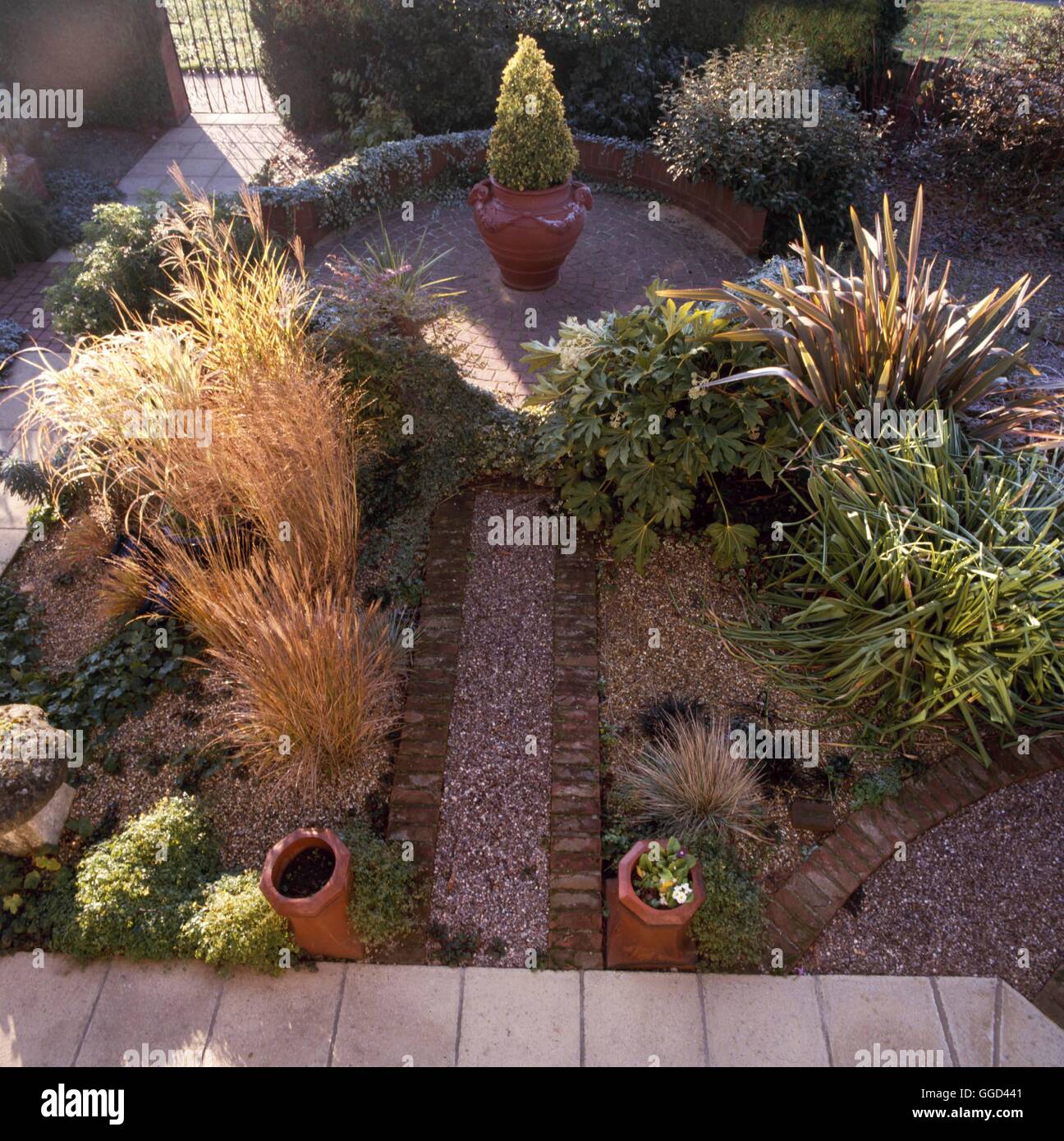 Herbst-Garten - im November AUB081796 Stockfoto