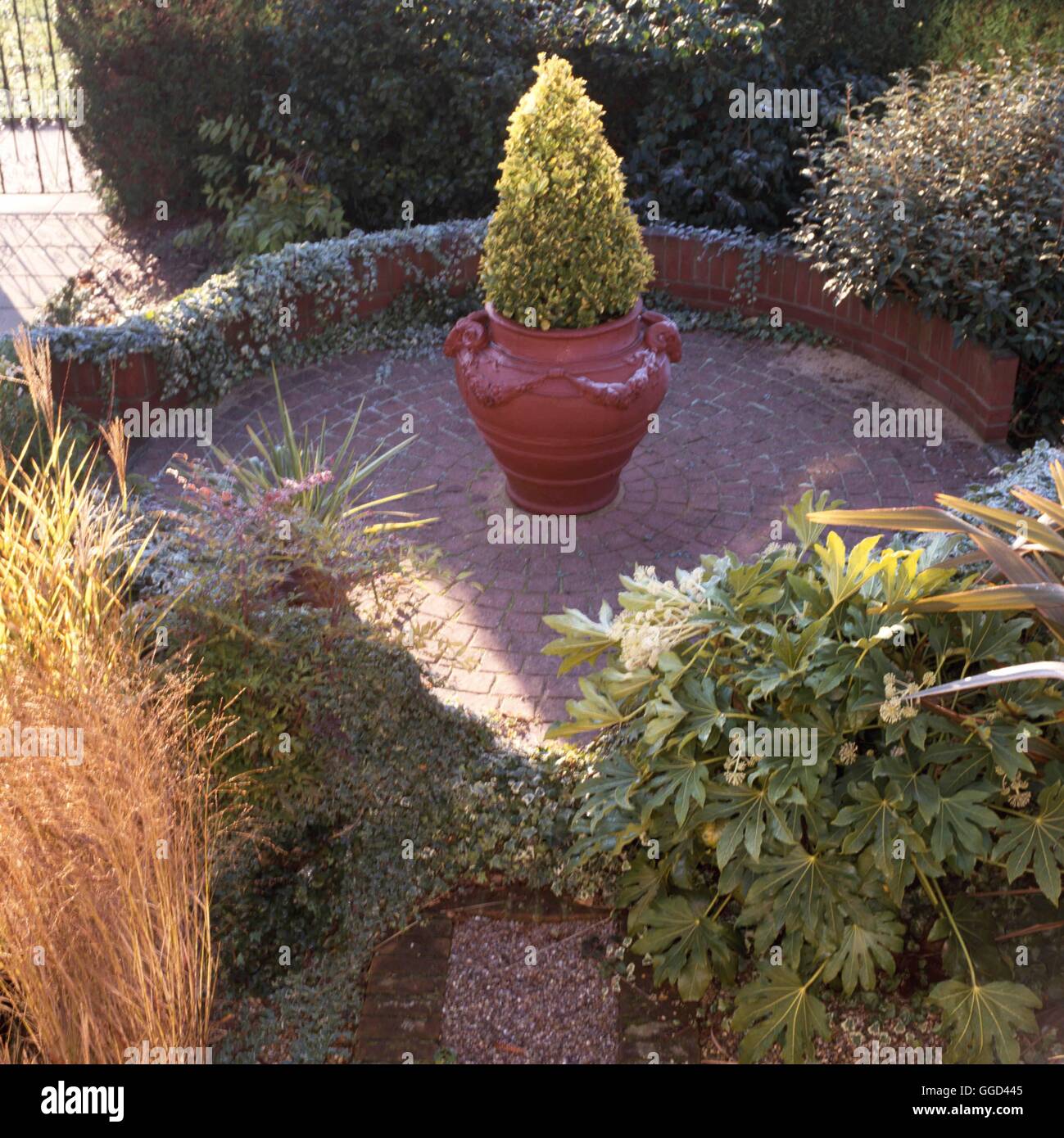 Herbst-Garten - im November AUB081800 Stockfoto