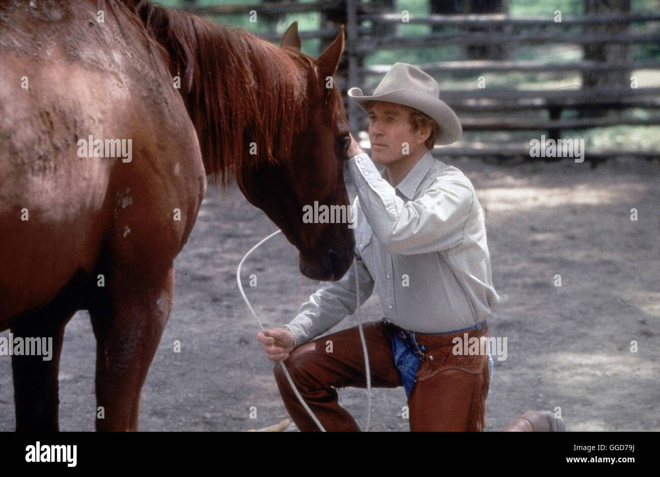 DER PFERDEFlöstERER / The Horse Whisperer USA 1998 / Robert Redford  Pferdeflösterer Tom Booker (ROBERT REDFORD)-Regie: Robert Redford aka. Der  Pferdeflüsterer Stockfotografie - Alamy