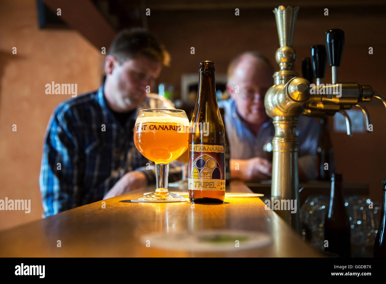 Lokalen Tripel Sint-Canarus Bier im Glas und Flasche auf Bar im Café am Gottem, Deinze, Belgien Stockfoto