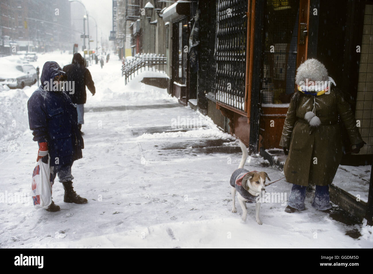 New York 1979 Schnee schlechtes Wetter Frau und ihr Haustier Hund trägt Hundemantel. Manhattan US1970 HOMER SYKES Stockfoto