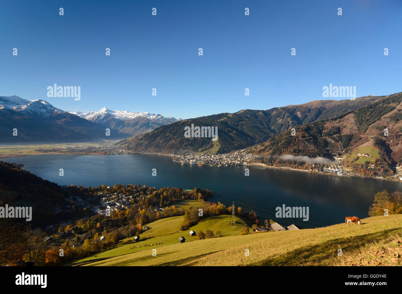 Zell am See: See Zeller See mit Blick auf Zell am See und der hohen Tauern, Österreich, Salzburg, Pinzgau Stockfoto