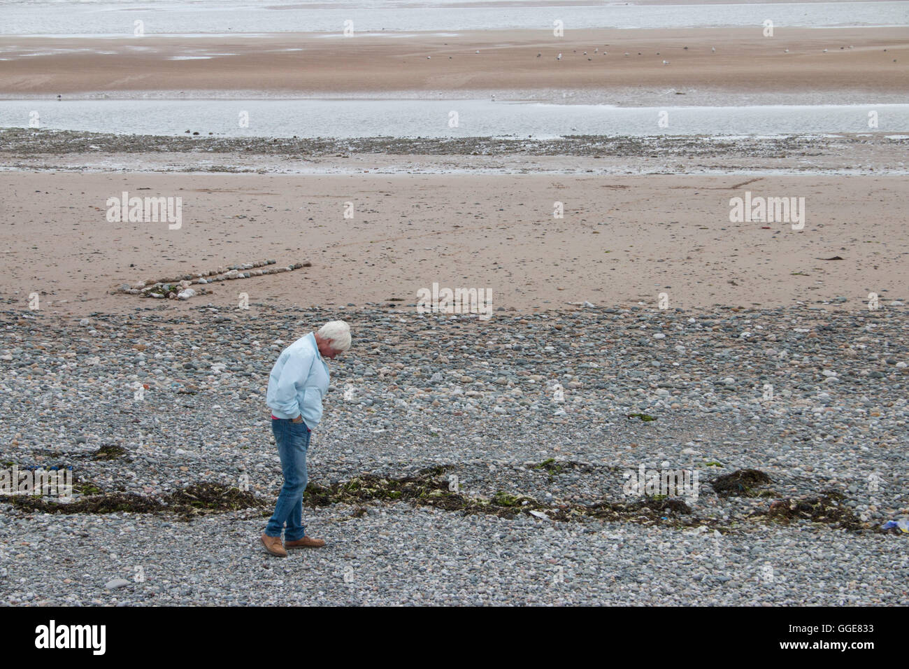 Alter Mann Suche steiniger Strand Stockfoto