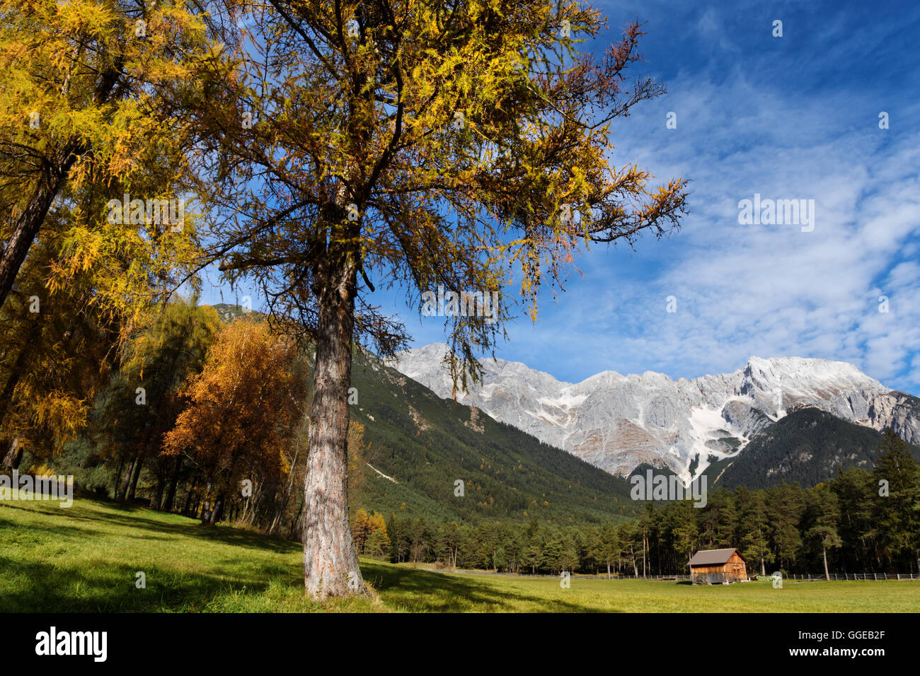 Idyllische Landschaft des Miemenger Plateaus im bunten Herbst. Österreich, Tirol. Stockfoto