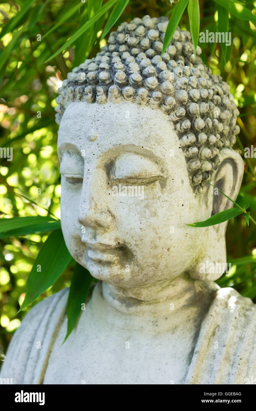 Buddha Kopf Meditation Balance Spa-Konzept Stockfoto