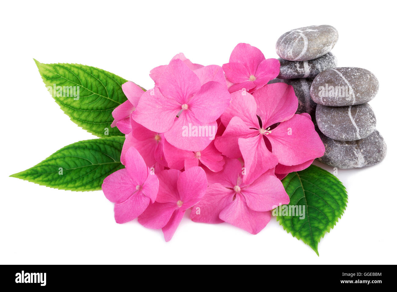 Wellness Steinen Zen mit rosa Blüten Stockfoto