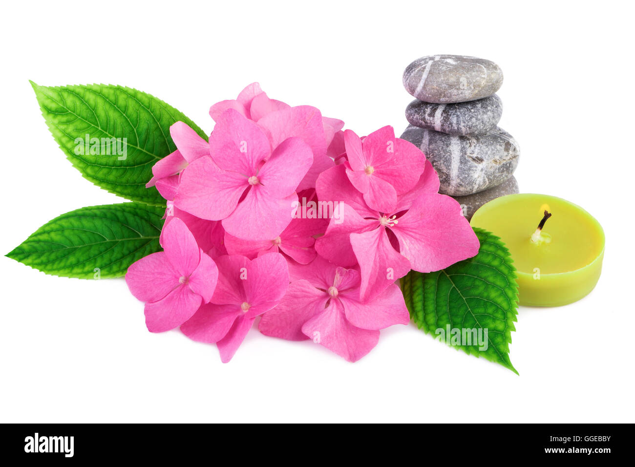 Wellness Steinen Zen mit rosa Blumen und Kerze auf weißem Hintergrund Stockfoto