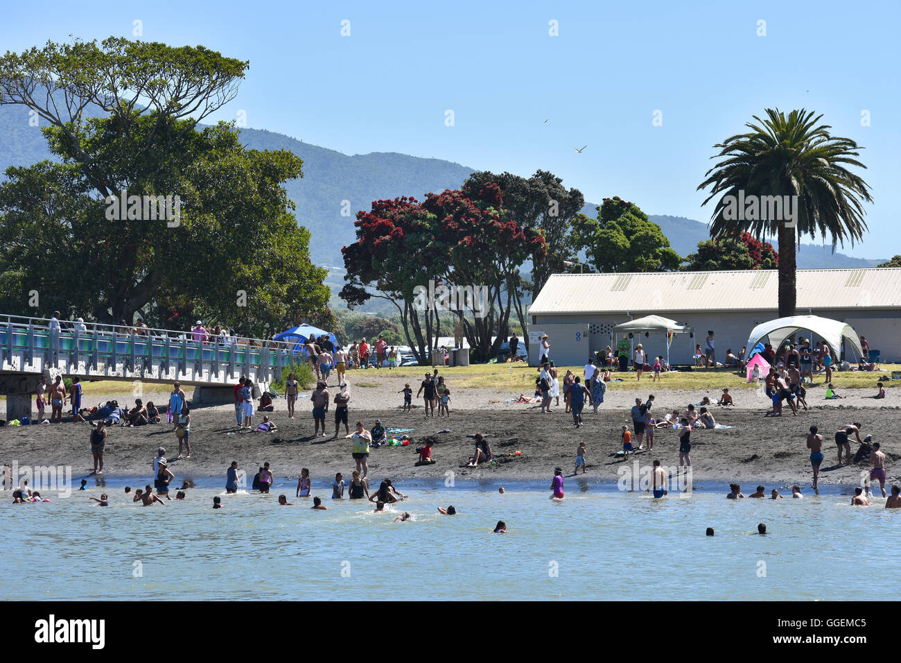 NZ Raglan Hafen schwimmen Sommer Wasser Stockfoto