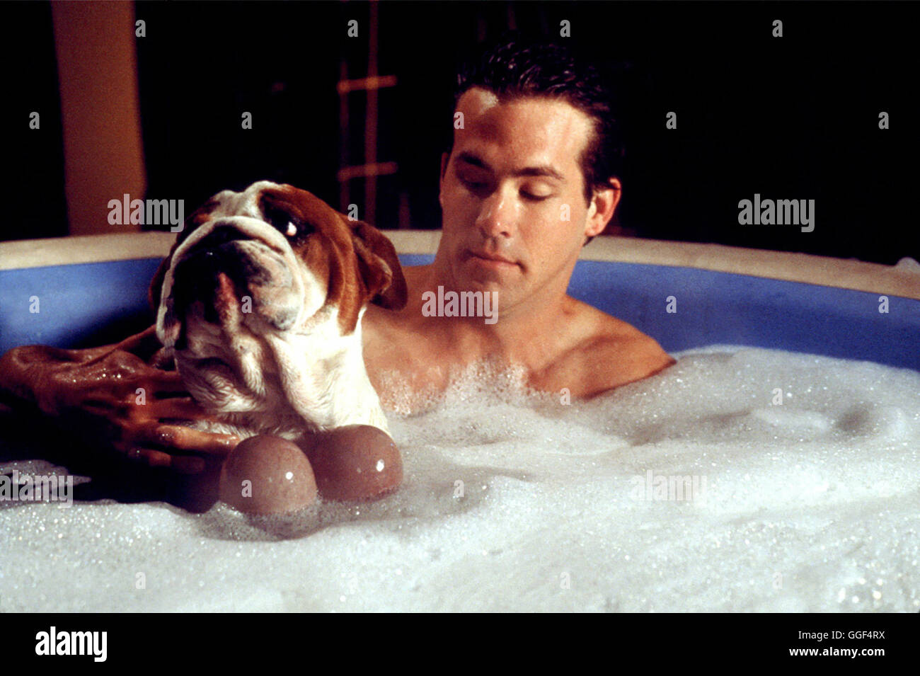 PARTY ANIMALS – WILDER GEHT ES NICHT! / Party Tiere USA 2002 WALT Becker Van Wilder (RYAN REYNOLDS) Regie: Walt Becker aka. Party Animals Stockfoto