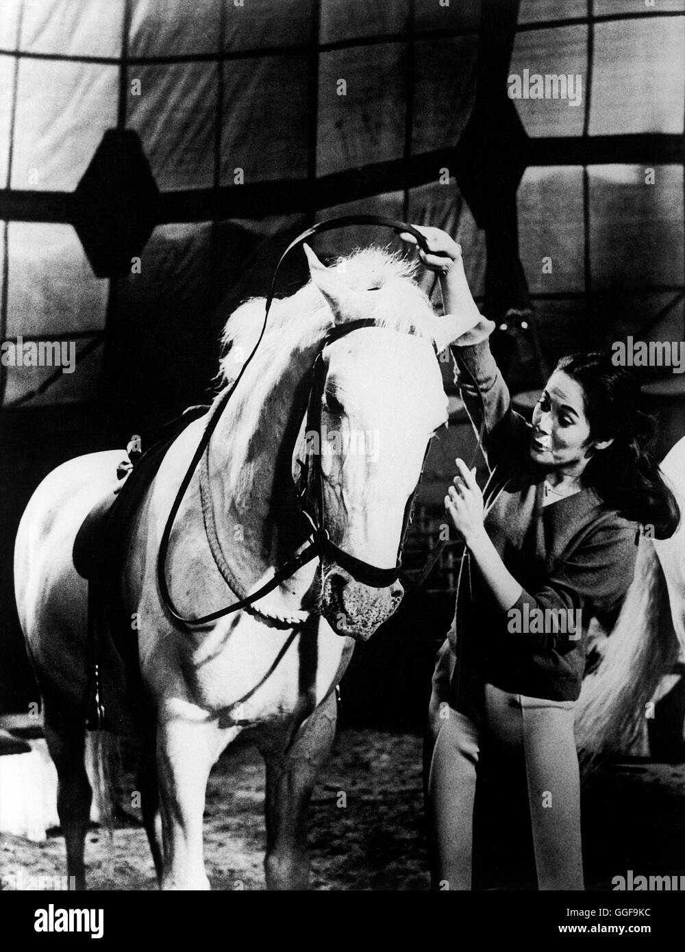 DIE NÄCHTE MIT NANCY / die Hauptattraktion GB 1962 / Daniel Petrie NANCY KWAN in "Main Attraction", 1962.  Regie: Daniel Petrie aka. Die Hauptattraktion Stockfoto