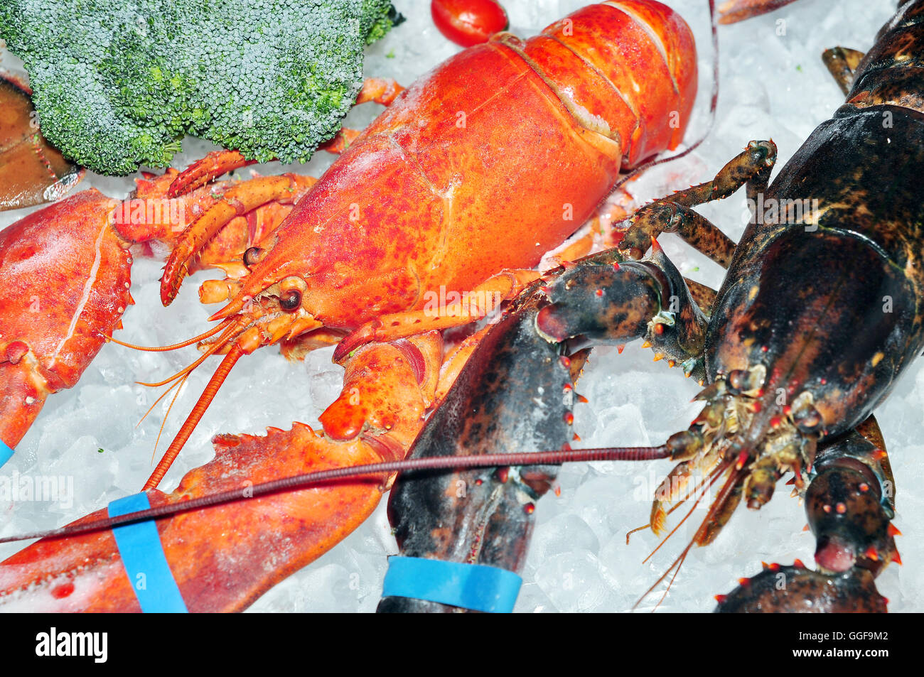 Gefrorene Hummer mit Eis zum Verkauf Stockfoto