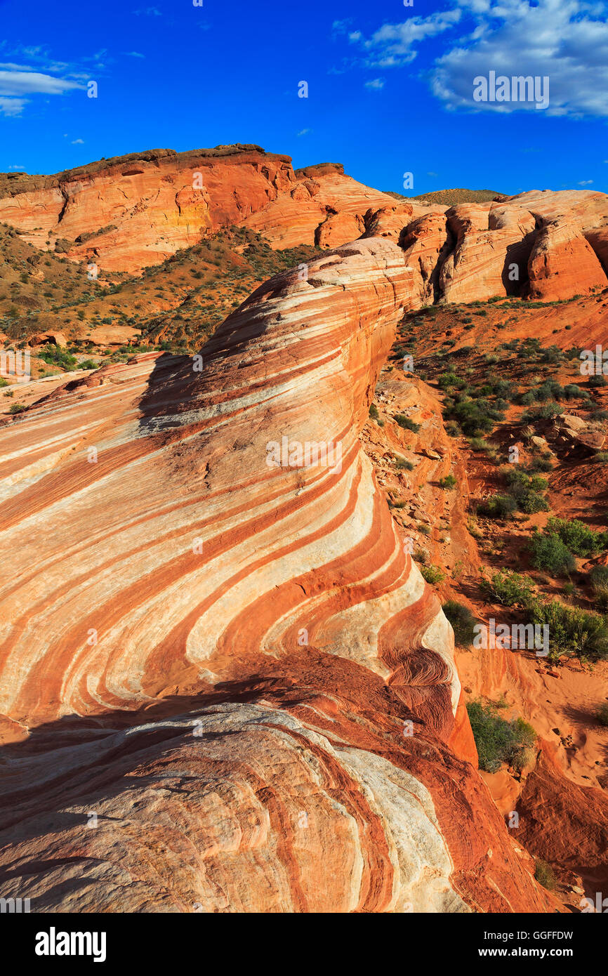 Dies ist eine vertikale Ansicht von der unglaublichen Feuer Wellenbildung im Valley of Fire State Park, Nevada, USA. Stockfoto