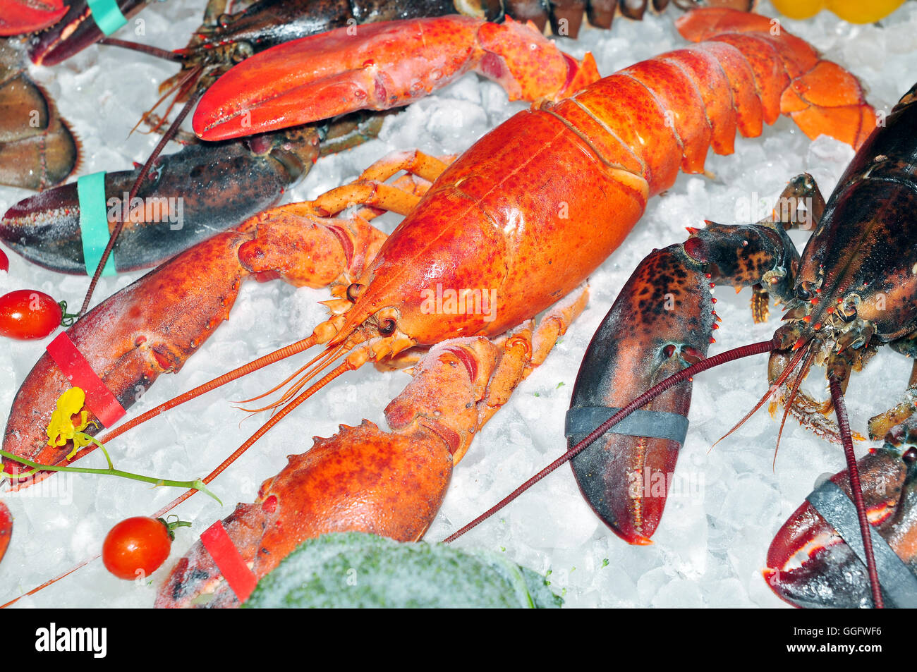 Gefrorene Hummer mit Eis zum Verkauf Stockfoto